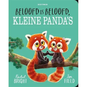 Op zoek naar een leuk kartonboekje voor je peuter? Beloofd is beloofd, kleine panda’s van Rachel Bright is een heerlijk boekje om samen te lezen.
